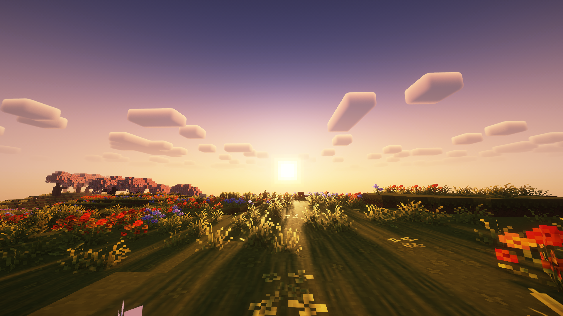 minecraft sunset